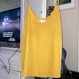 Socialite scallop tank